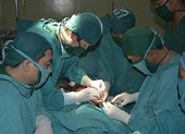 Ca chế tạo 'của quý' made in Việt Nam