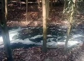 Trại heo xả thải ra nguồn cung cấp nước cho nhà máy La Gi