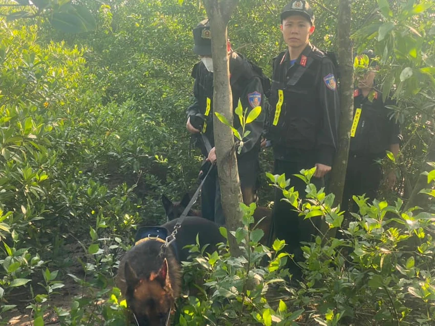 truy-bat-hai-pham-nhan.jpg