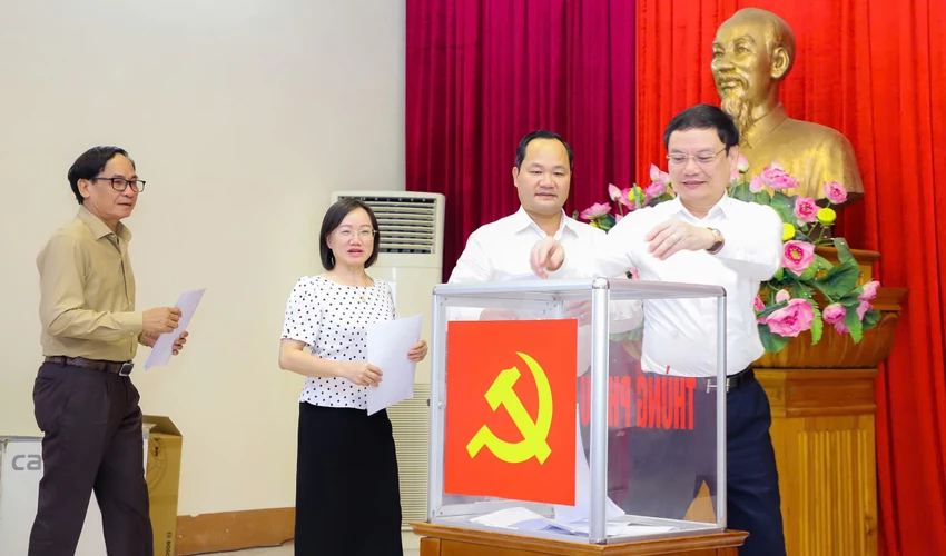 bau-bi-thu.jpg
