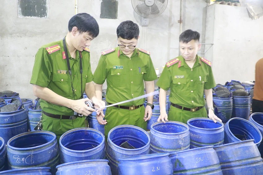 tang-vat-gia-do-hoa-chat.jpg