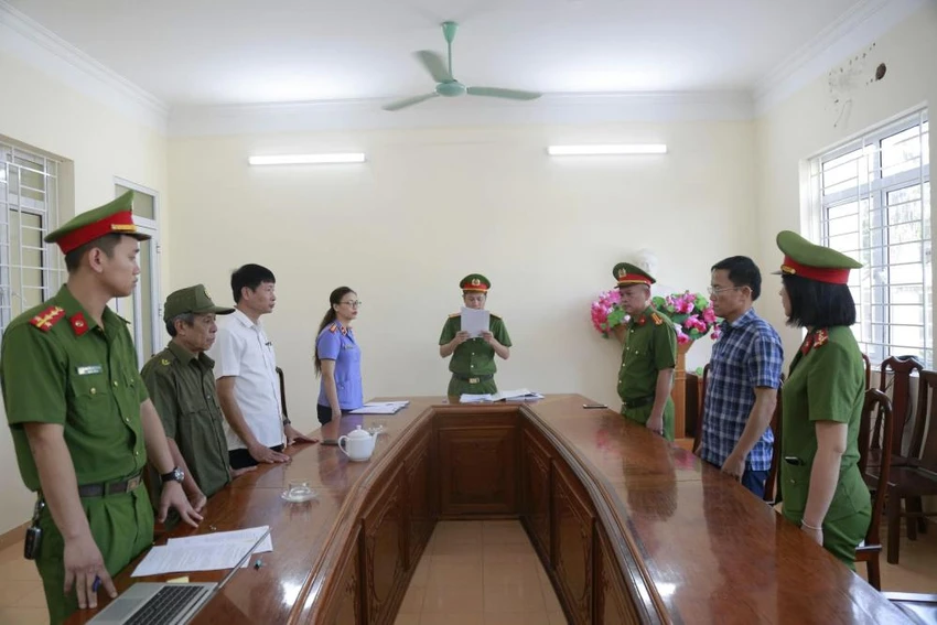 tan-xi-mang-dong-cung.jpg