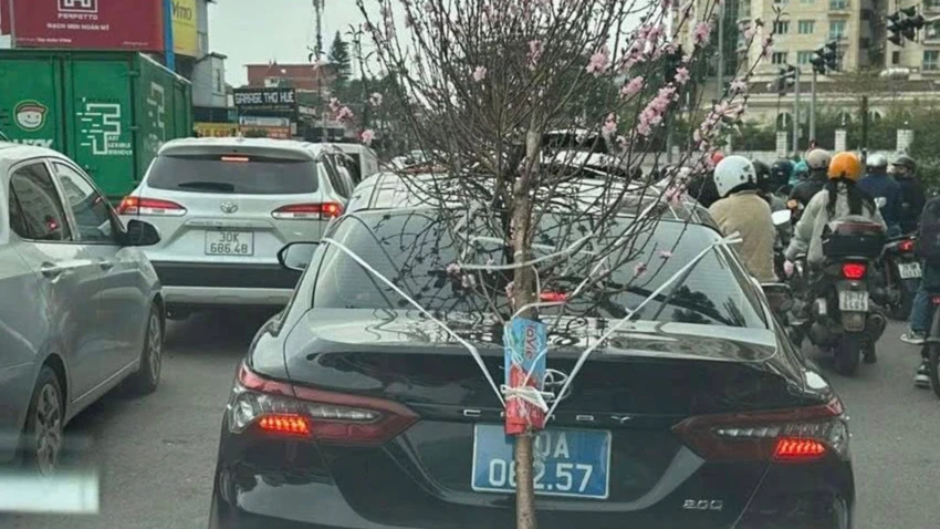 cho-dao-che-bien-so.jpg