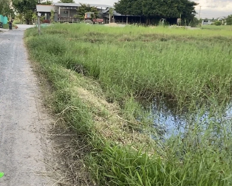 Rút kinh nghiệm