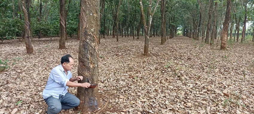 hợp tác làm ăn