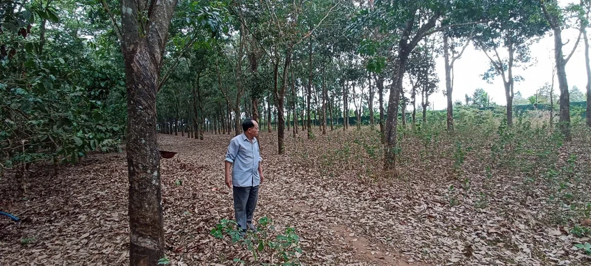 hợp tác làm ăn