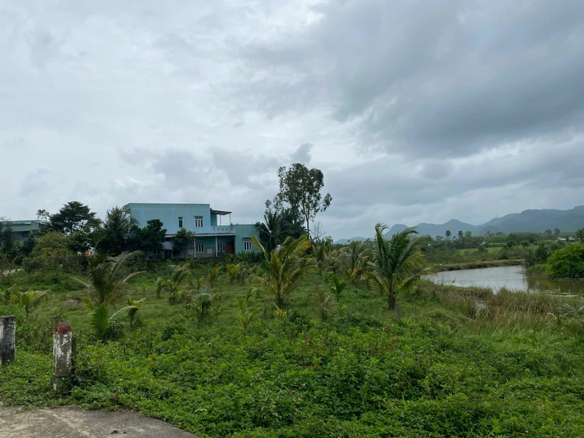 án lệ