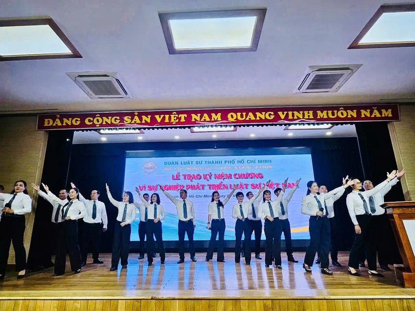 luat-su-tvn.jpg