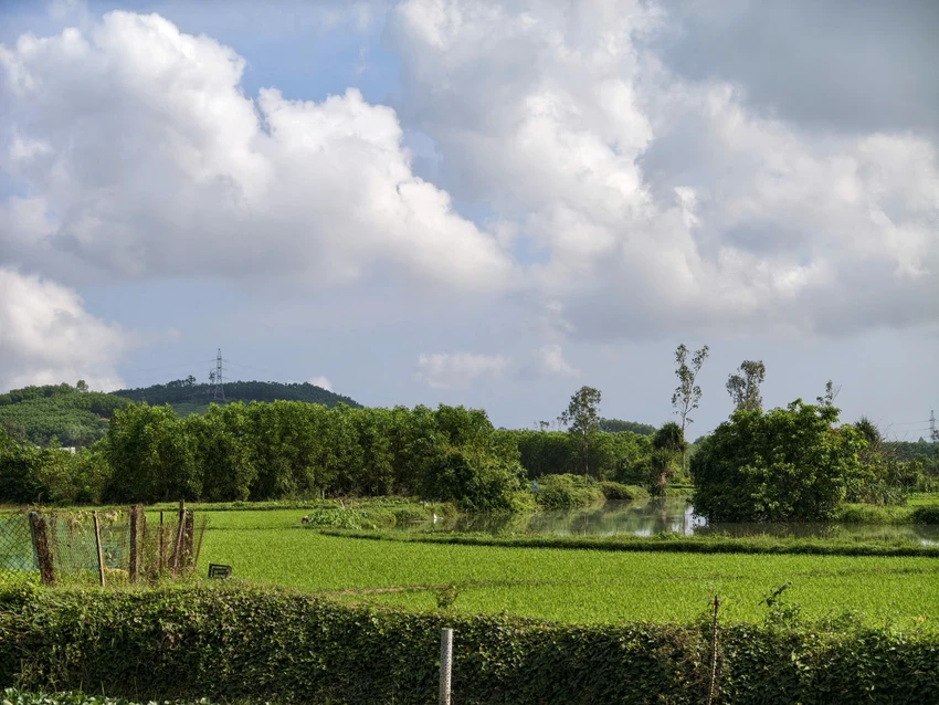 an-le-nuoc-ngoai.jpg