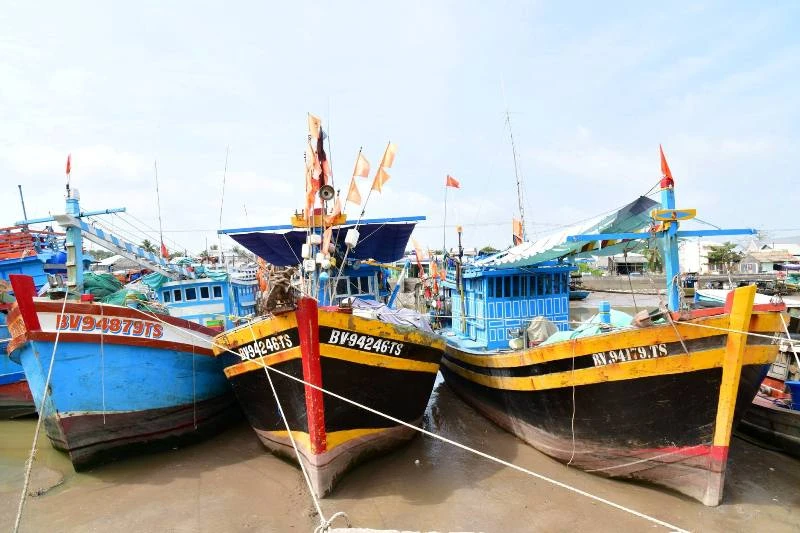 Bộ Tư lệnh QK9 kiểm tra chuẩn bị ứng phó bão Tembin ảnh 7 Bộ Tư lệnh QK9 kiểm tra chuẩn bị ứng phó bão Tembin ảnh 7