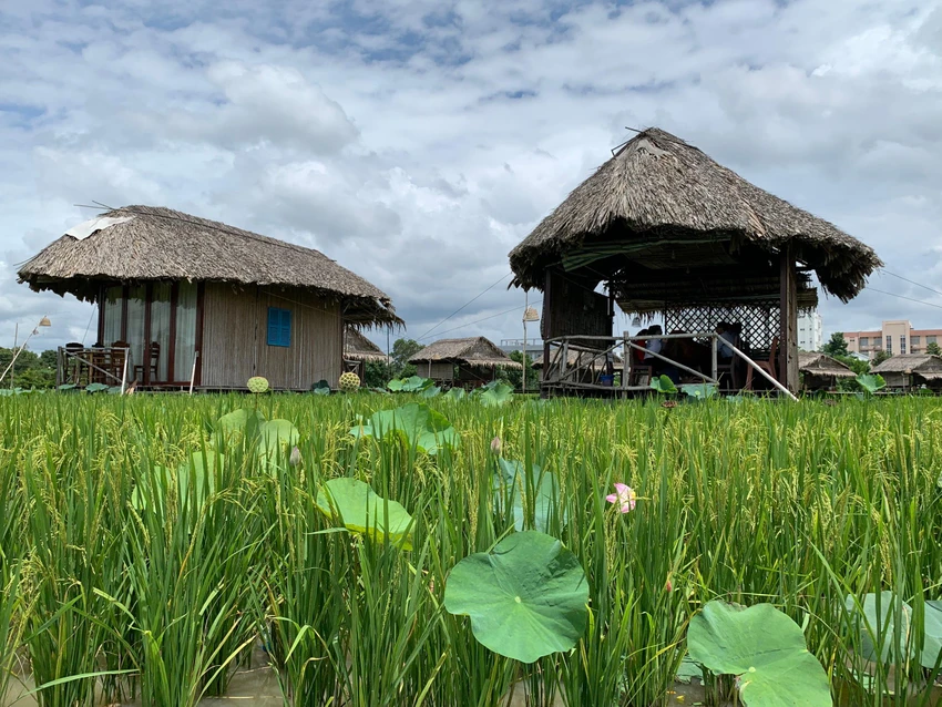 Du lịch nông nghiệp ĐBSCL có tiềm năng rất lớn. Du lịch nông nghiệp ĐBSCL có tiềm năng rất lớn.