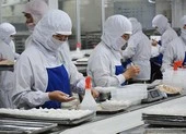 Cần ngay gói 200.000 tỉ đồng cứu doanh nghiệp