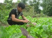 Thủ khoa chưa một lần học thêm!