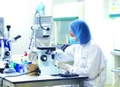 Vaccine phòng COVID-19 của Việt Nam khoảng 120.000 đồng/liều