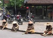 Xử phạt nhóm người giả ăn xin ở Hội An