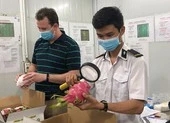 Đắt khách nhưng nông sản Việt không thể xuất khẩu