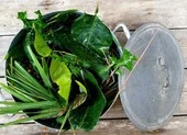 2 phương pháp xông nơi ở bằng các loại thuốc, tinh dầu