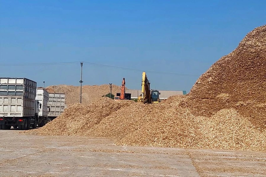 Dăm gỗ chờ xuất khẩu tại cảng. Ảnh: AN HIỀN