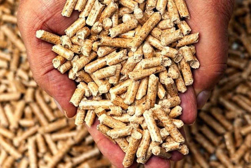 Sản phẩm viên nén gỗ Việt được các nước châu Âu ưa chuộng. Ảnh: CTV