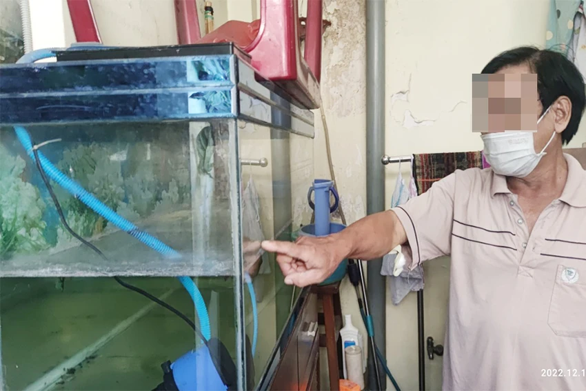 Hồ cá của nhà ông C bị bụi từ cơ sở làm đá bay vào bám đầy hồ. Ảnh: NGUYỄN HIỀN Hồ cá của nhà ông C bị bụi từ cơ sở làm đá bay vào bám đầy hồ. Ảnh: NGUYỄN HIỀN