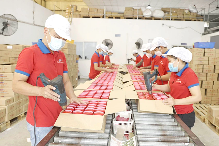 Nhiều mặt hàng như củ kiệu, ớt xay, bánh nậm, mắm ruốc… được xuất khẩu sang nhiều nước. Ảnh: QH