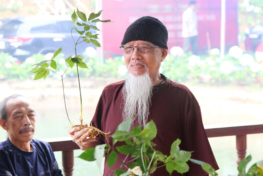 Dược sĩ Đào Kim Long, người đầu tiên phát hiện và công bố sâm Ngọc Linh. Ảnh: LÊ KIẾN Dược sĩ Đào Kim Long, người đầu tiên phát hiện và công bố sâm Ngọc Linh. Ảnh: LÊ KIẾN