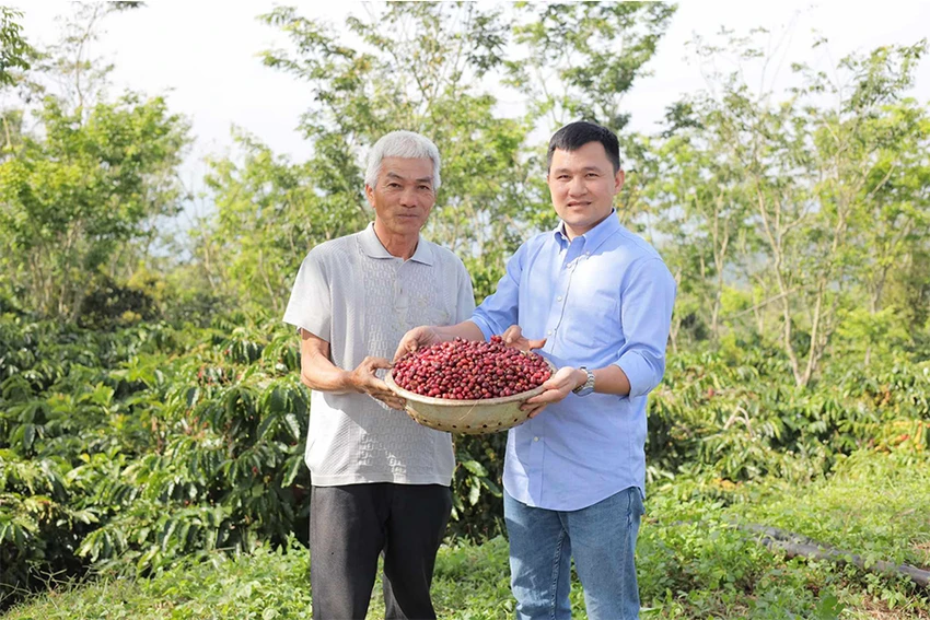 Theo chuyên gia, cà phê sạch phải đi từ gốc tới ngọn, tức từ vùng nguyên liệu, tới khi thu hái, phơi, rang cho tới thành phẩm. Ảnh: T.HÀ Theo chuyên gia, cà phê sạch phải đi từ gốc tới ngọn, tức từ vùng nguyên liệu, tới khi thu hái, phơi, rang cho tới thành phẩm. Ảnh: T.HÀ