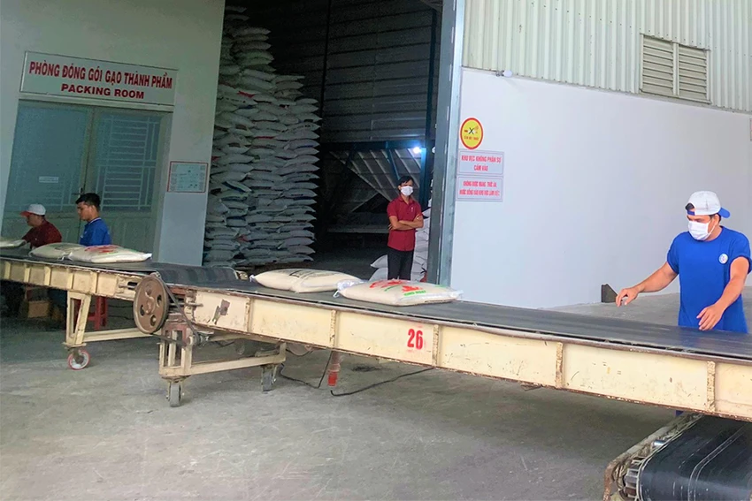 Gạo Việt Nam luôn nằm trong tốp đầu về sản lượng xuất khẩu. Ảnh: T.UYÊN