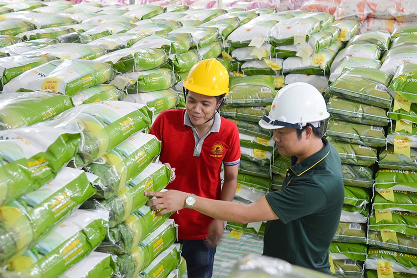 Giá gạo xuất khẩu tăng cao, giá lúa nội địa cũng tăng theo đang là tin vui cho người nông dân. Ảnh: Q.HUY Giá gạo xuất khẩu tăng cao, giá lúa nội địa cũng tăng theo đang là tin vui cho người nông dân. Ảnh: Q.HUY