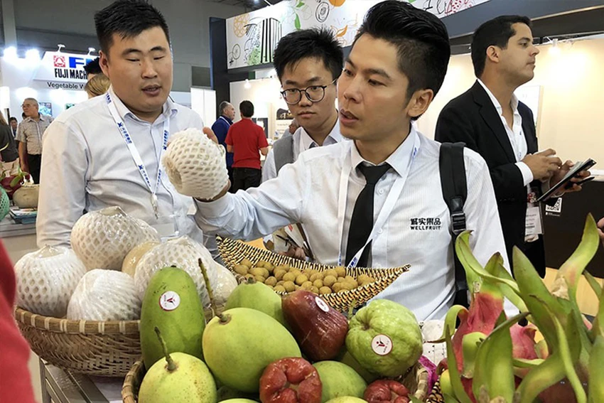 Mỗi sản phẩm xuất khẩu đều cần chất lượng tốt, ổn định, tạo hình ảnh đẹp cho nông sản Việt. Ảnh: Q.HUY Mỗi sản phẩm xuất khẩu đều cần chất lượng tốt, ổn định, tạo hình ảnh đẹp cho nông sản Việt. Ảnh: Q.HUY