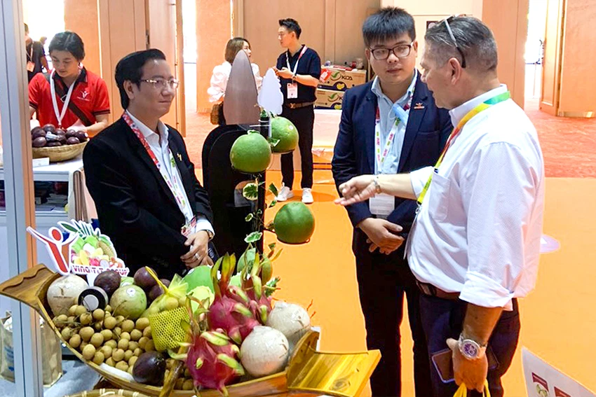 w-P11-xuat-khau.jpg