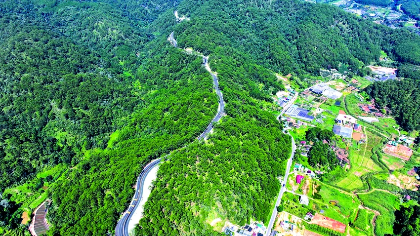 Hình 5-đèo Mimosa.jpg