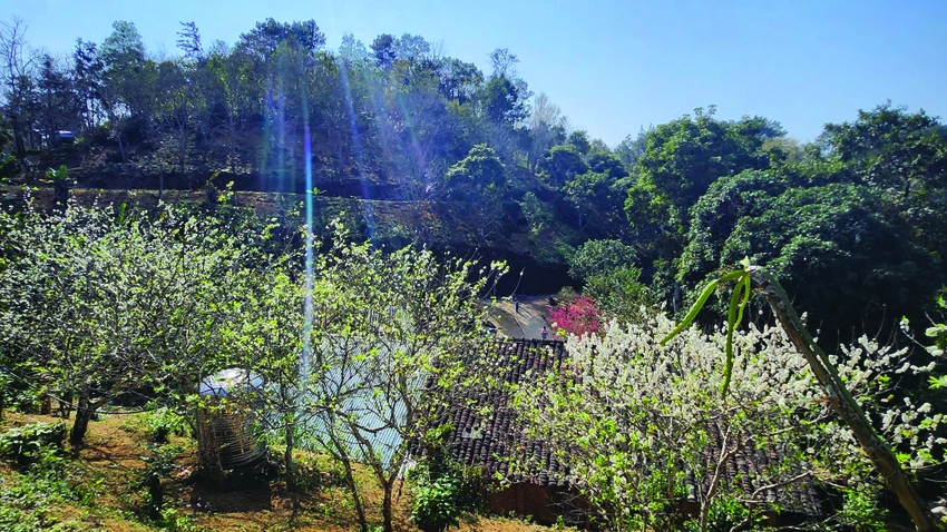 Laixeveque-04.jpg