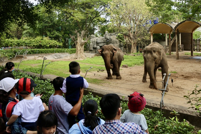 Khu vực chuồng thú như voi, hươu cao cổ... có rất đông người đứng chụp hình, tham quan. Ảnh: BẢO PHƯƠNG Khu vực chuồng thú như voi, hươu cao cổ... có rất đông người đứng chụp hình, tham quan. Ảnh: BẢO PHƯƠNG