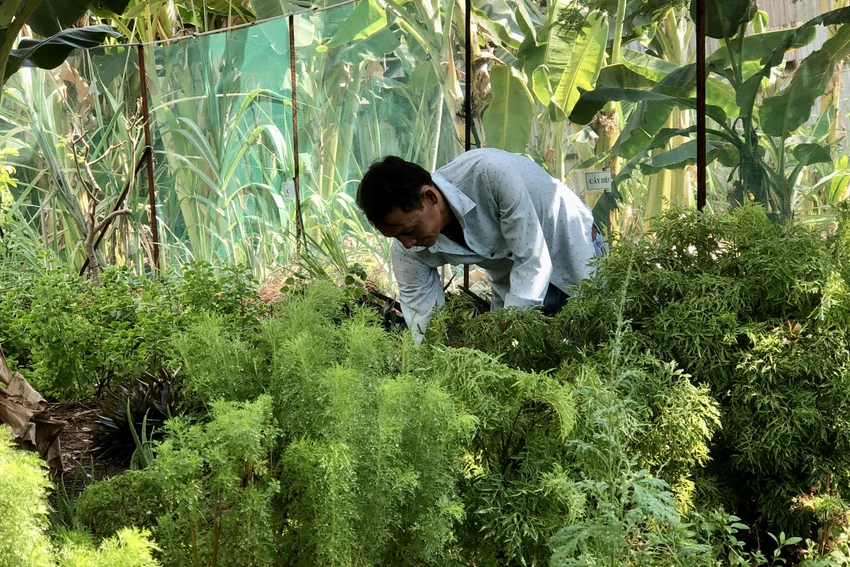 khu dân cư