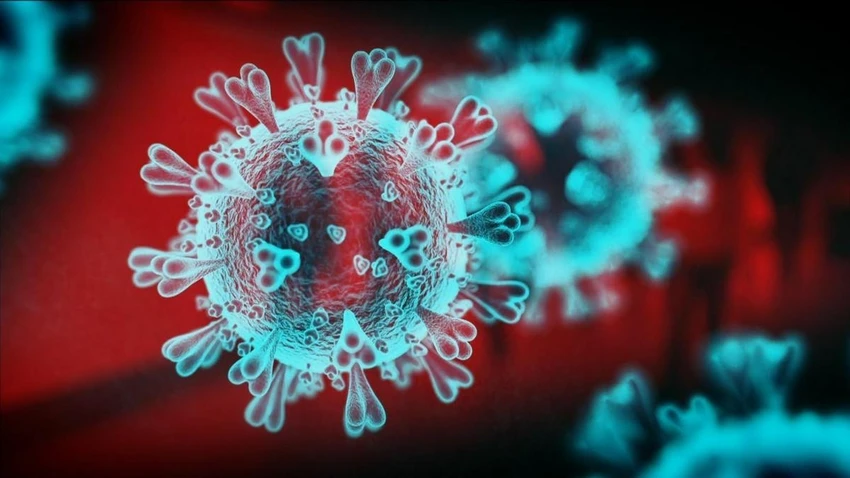 Một biến thể của virus SARS-COV-2. ẢNH: NEWS SKY Một biến thể của virus SARS-COV-2. ẢNH: NEWS SKY