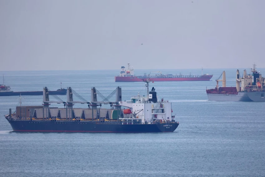 Những tàu chở ngũ cốc qua Biển Đen đang đợi kiểm tra tại cảng TP Istanbul (Thổ Nhĩ Kỳ) Ảnh: REUTERS