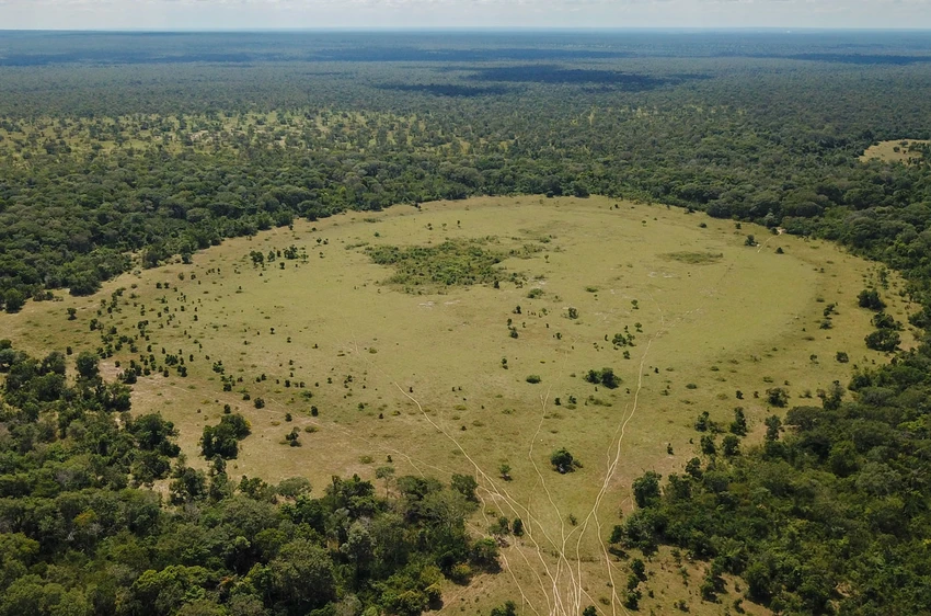 _20230217_nf_hydrogen_fairycircles_1400px.jpg