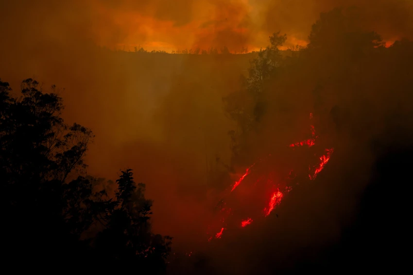 cháy rừng dữ dội ở ecuador 2.png