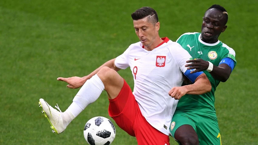 lewy-poland.png