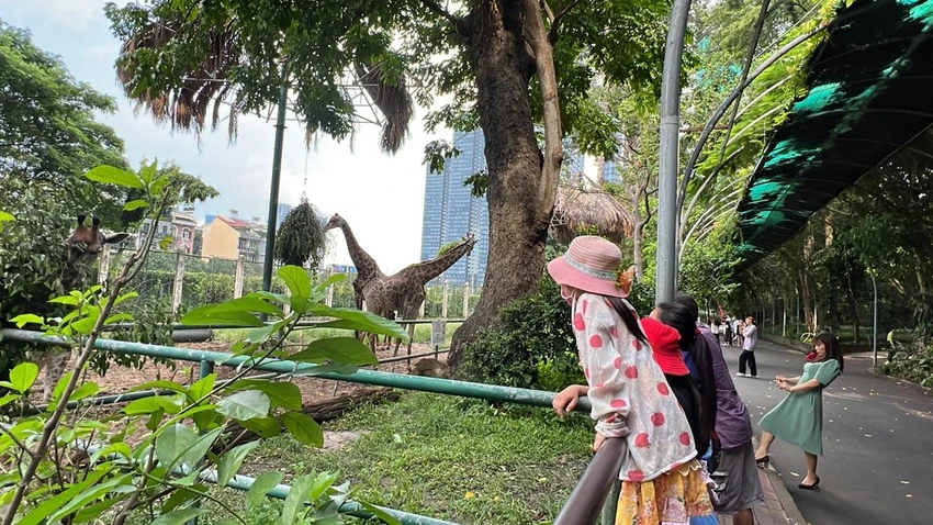 Hươu là loài vật nhận được sự yêu thích của các em nhỏ. Ảnh: PHƯƠNG LÊ. Hươu là loài vật nhận được sự yêu thích của các em nhỏ. Ảnh: PHƯƠNG LÊ.