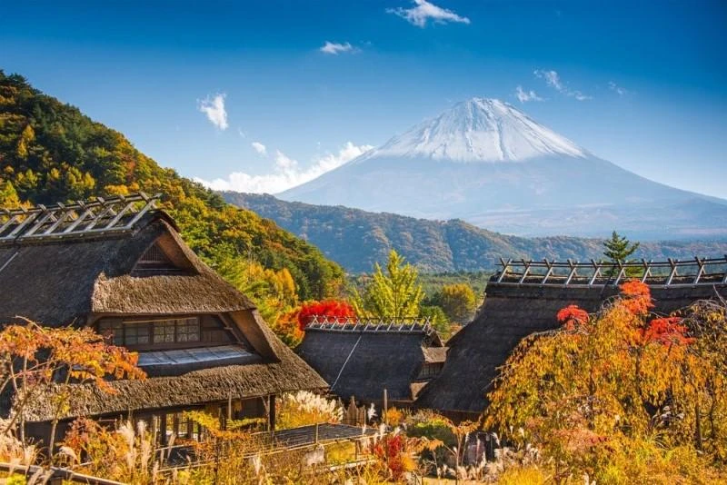 Một góc quang cảnh của Tokyo. Ảnh: Cntraveler. Một góc quang cảnh của Tokyo. Ảnh: Cntraveler.