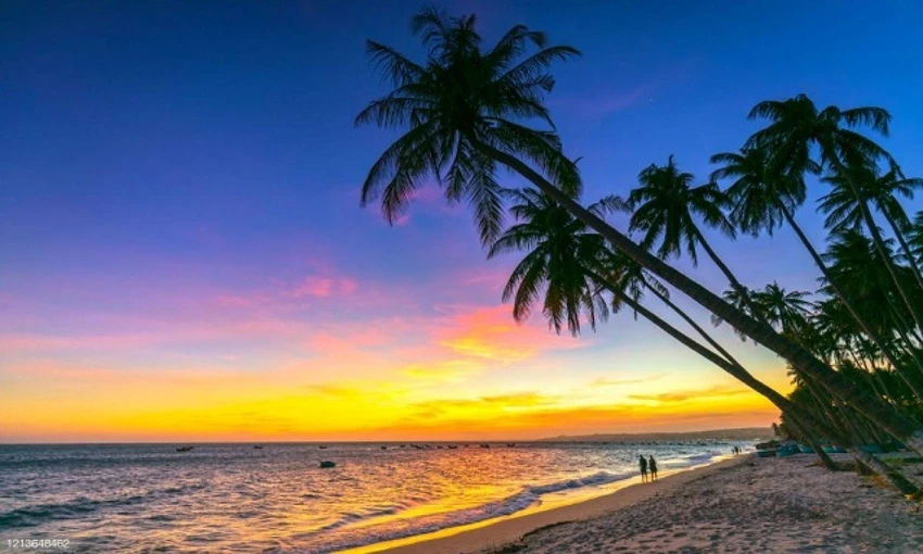 Nơi đây, du khách sẽ được đắm mình trong làn gió nhẹ nhàng, nhâm nhi một ly nước ép thanh long và thưởng thức nhiều loại bánh kẹo nhiệt đới.. Ảnh: Intenet. Nơi đây, du khách sẽ được đắm mình trong làn gió nhẹ nhàng, nhâm nhi một ly nước ép thanh long và thưởng thức nhiều loại bánh kẹo nhiệt đới.. Ảnh: Intenet.