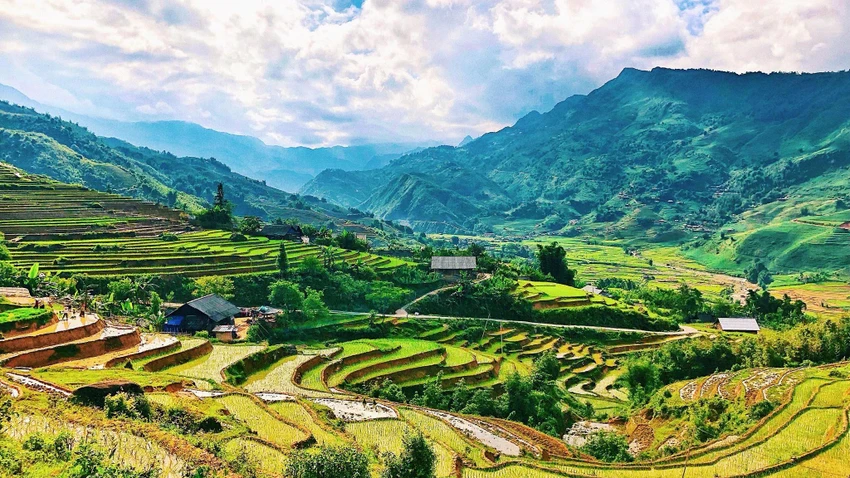 Ruộng lúa bậc thang ở Sapa. Ảnh: Lonelyplanet. Ruộng lúa bậc thang ở Sapa. Ảnh: Lonelyplanet.