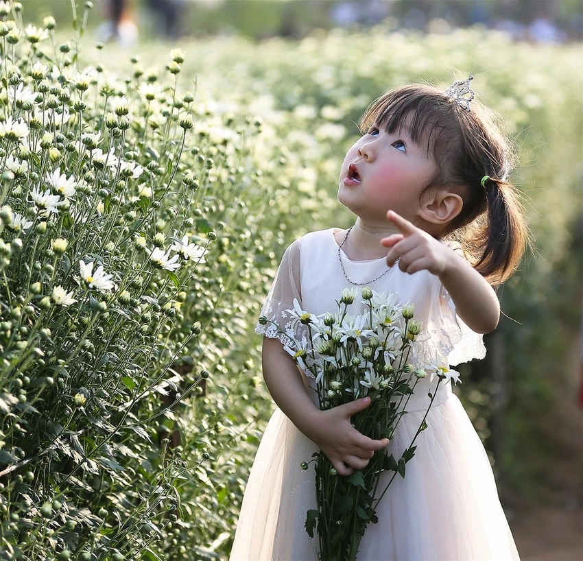 Bé con với nhành cúc họa mi trong tay cũng trở nên duyên dáng hơn. Bé con với nhành cúc họa mi trong tay cũng trở nên duyên dáng hơn.