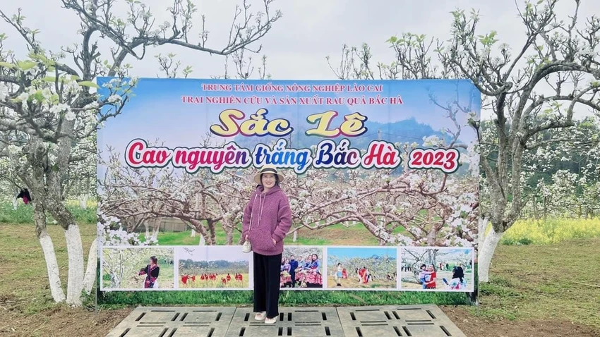 Đắm say với sắc trắng hoa lê Bắc Hà, Lào Cai. Ảnh: THU HIỀN. Đắm say với sắc trắng hoa lê Bắc Hà, Lào Cai. Ảnh: THU HIỀN.