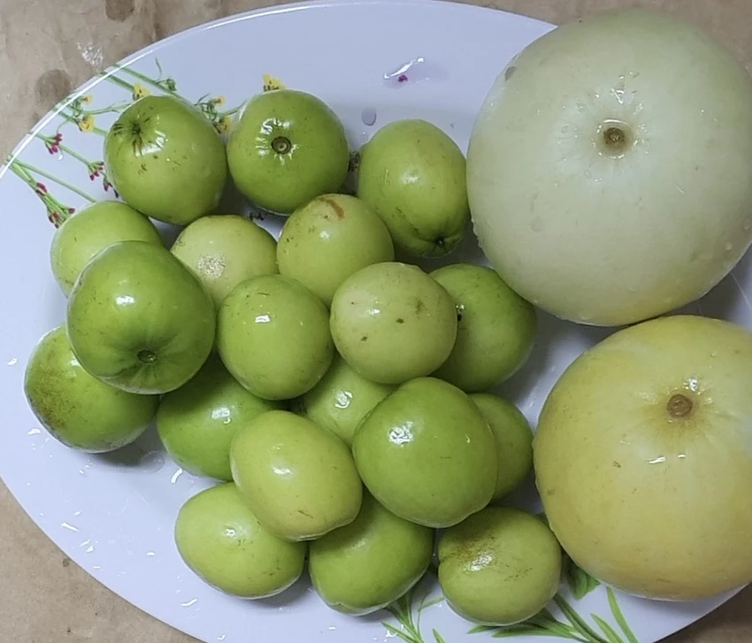 Ăn táo giúp bảo vệ chống lại bệnh ung thư, bệnh tim, hen suyễn và bệnh Alzheimer. Ảnh: PHƯƠNG LÊ. Ăn táo giúp bảo vệ chống lại bệnh ung thư, bệnh tim, hen suyễn và bệnh Alzheimer. Ảnh: PHƯƠNG LÊ.