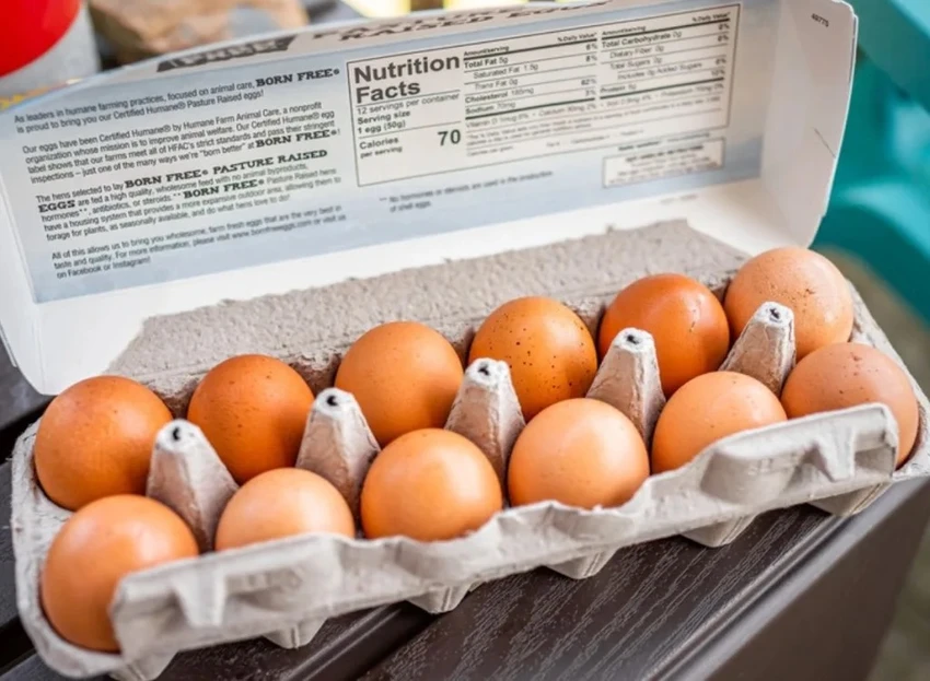 Trứng là một nguồn protein. Ảnh: Shutterstock. Trứng là một nguồn protein. Ảnh: Shutterstock.