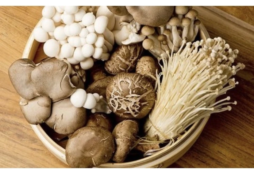 Nấm. Ảnh: Health. Nấm. Ảnh: Health.