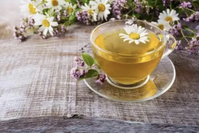 Hoa cúc là một thay thế tự nhiên để giảm chứng ợ nóng. Ảnh: Steptohealth. Hoa cúc là một thay thế tự nhiên để giảm chứng ợ nóng. Ảnh: Steptohealth.